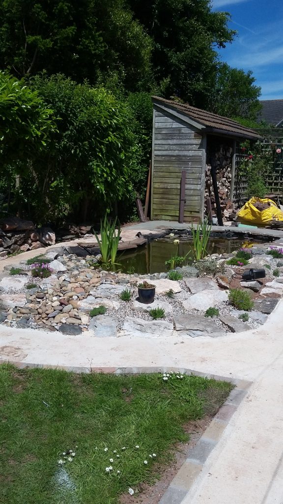 building a garden pond