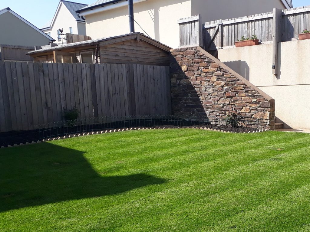 laying garden turf