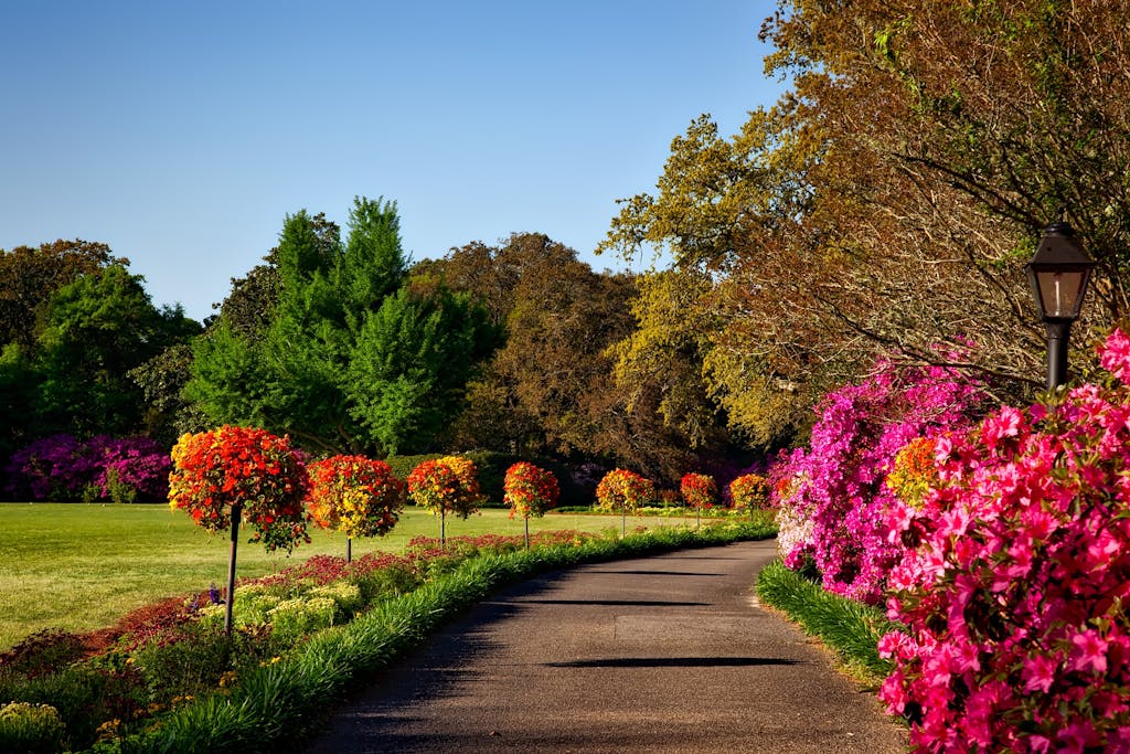 horticulture services from Coastal Garden Services in the South Hams