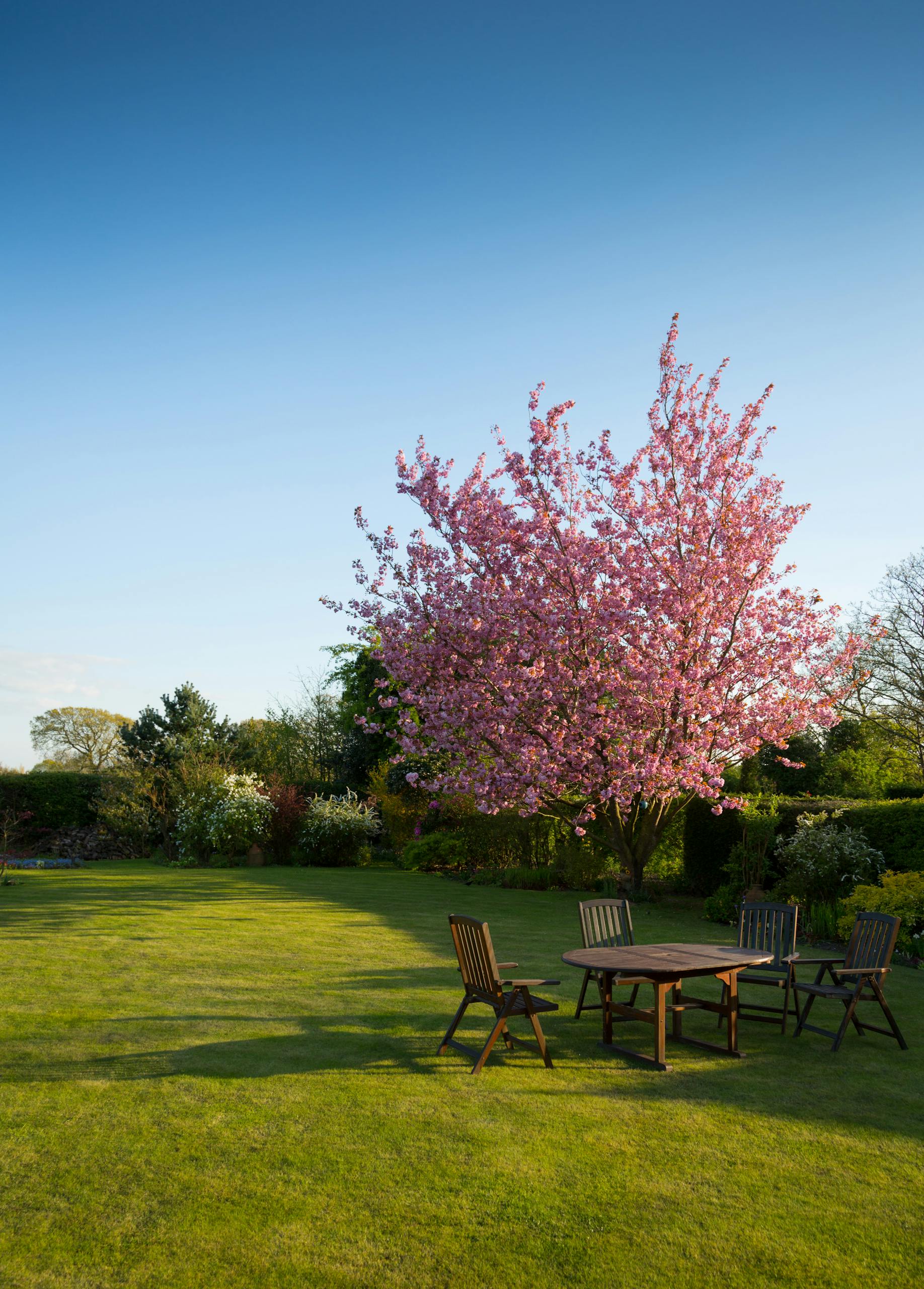 Landscape management services in South Hams Devon